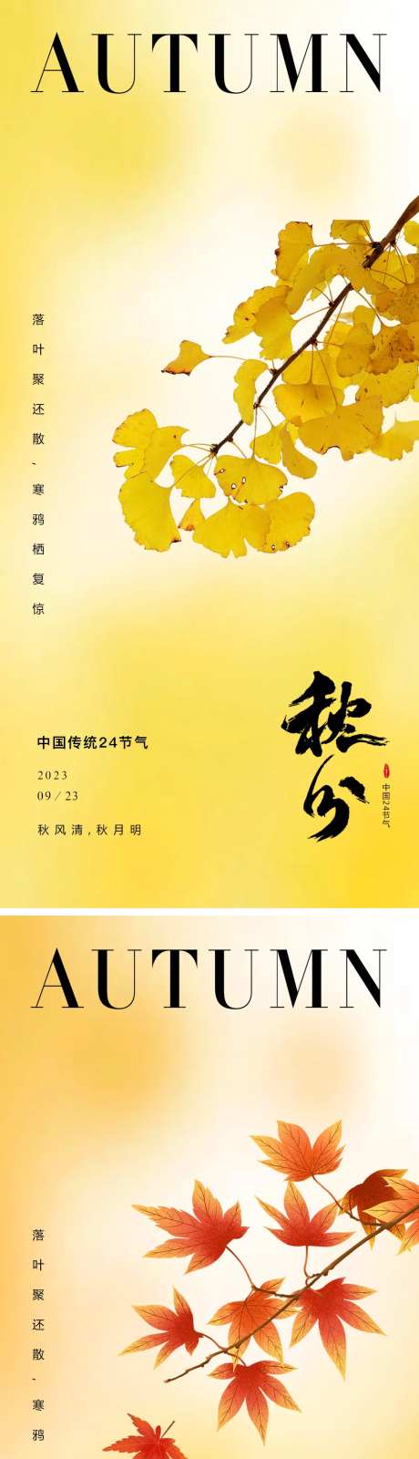 秋分银杏枫叶海报-采灵感-https://www.cailinggan.com/