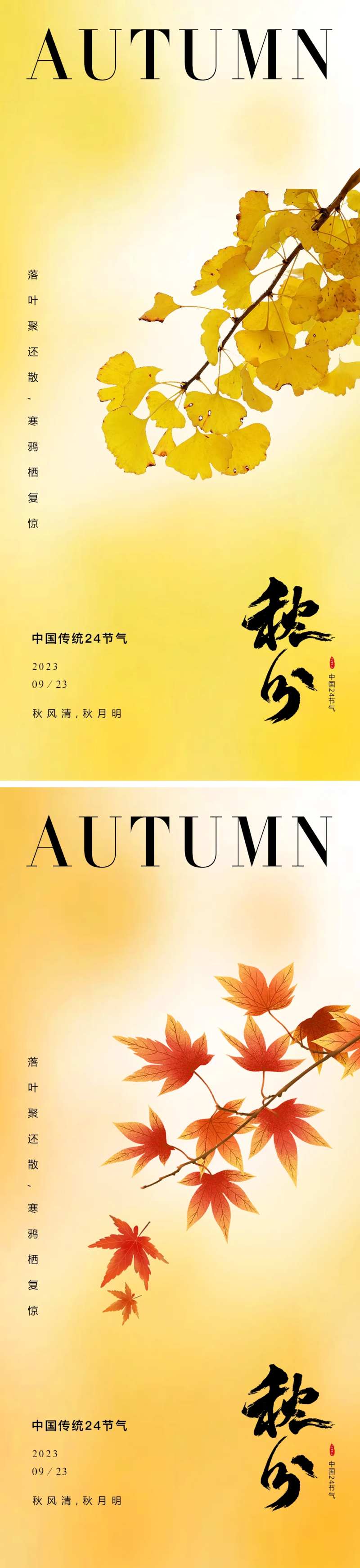秋分银杏枫叶海报-采灵感-cailinggan.com