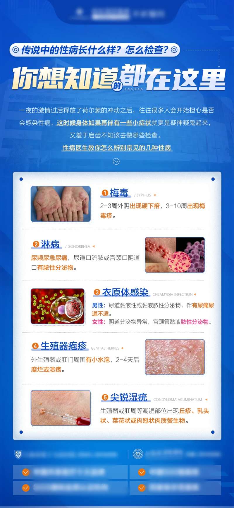 皮肤性病科普海报-采灵感-cailinggan.com