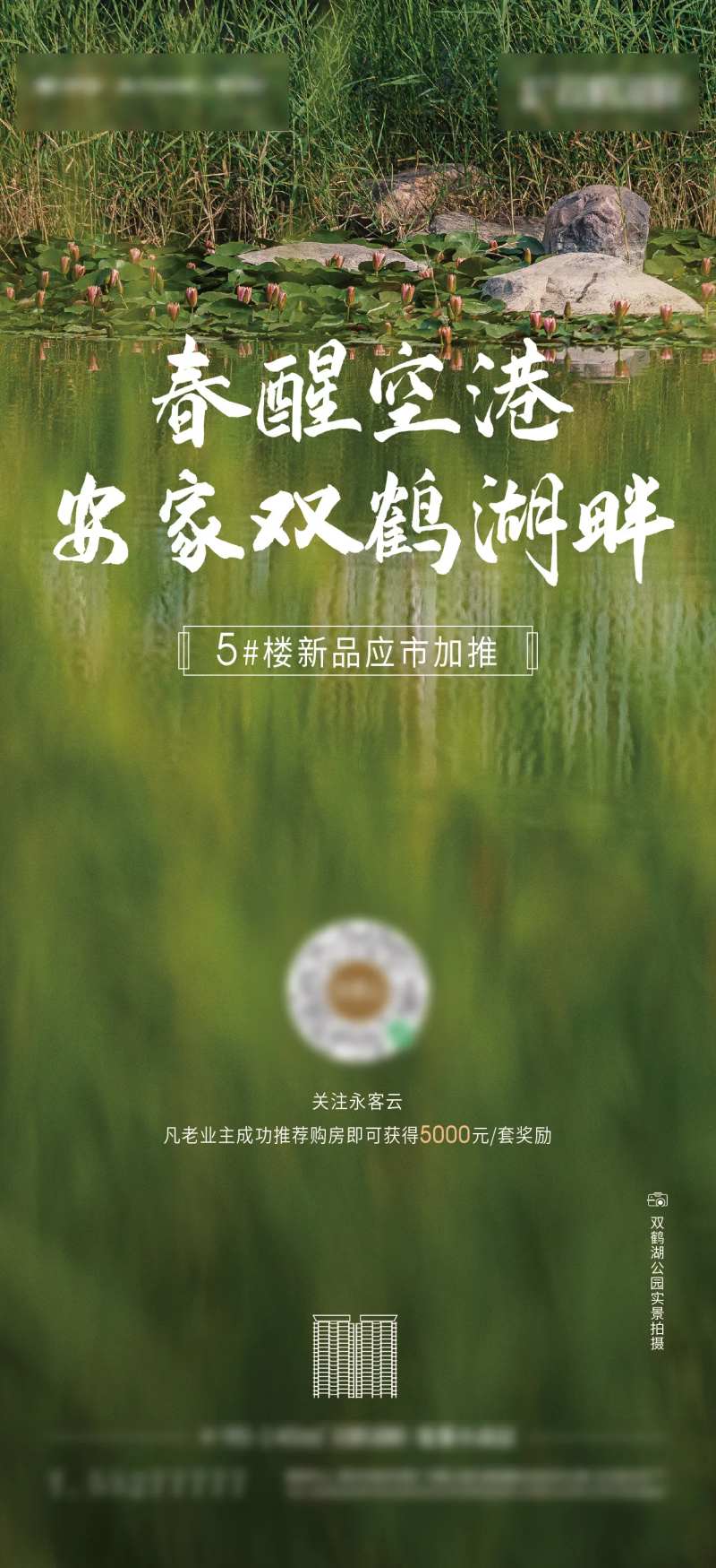 地产加推-采灵感-cailinggan.com