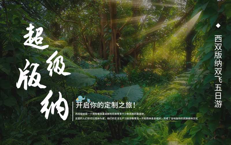 超级版纳旅游海报展板-采灵感-cailinggan.com