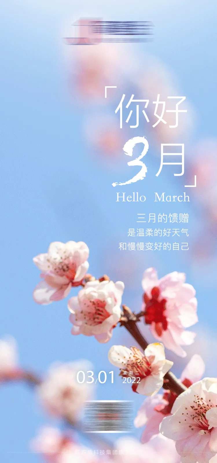 你好三月-采灵感-cailinggan.com