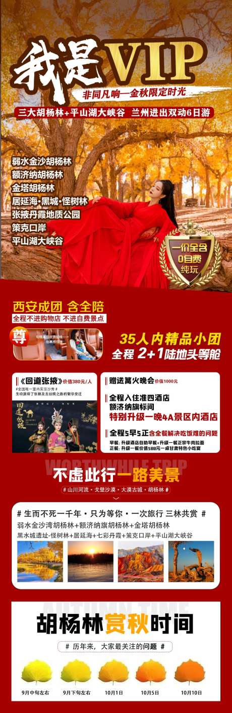 我是VIP-非同凡响-采灵感-https://www.cailinggan.com/