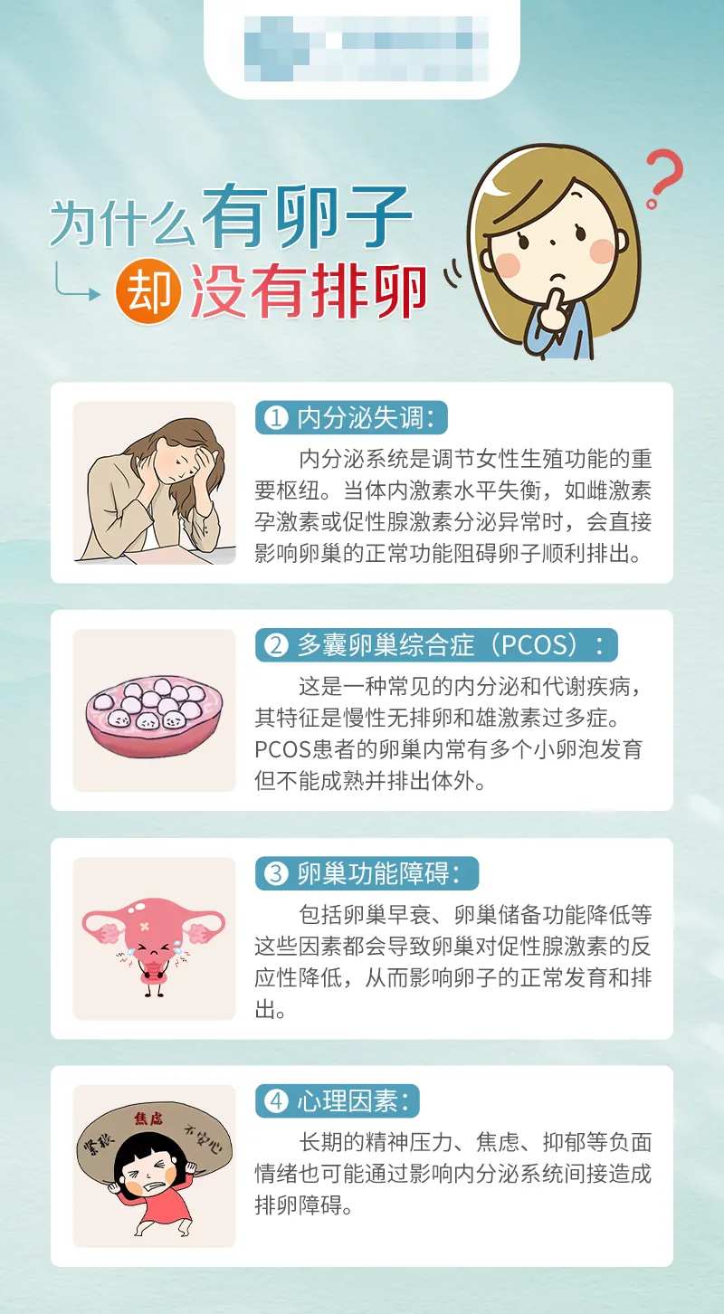 为什么有卵子却没有排卵科普海报-采灵感-cailinggan.com