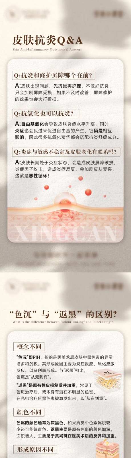 皮肤炎症抗炎科普海报-采灵感-https://www.cailinggan.com/