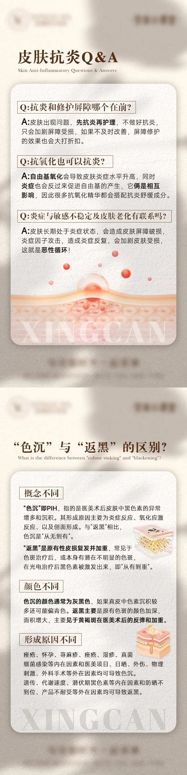 皮肤炎症抗炎科普海报-采灵感-cailinggan.com