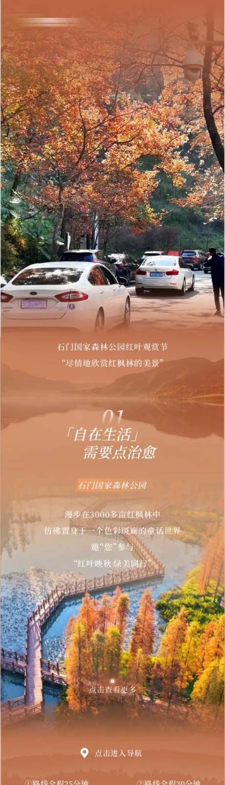 秋季红枫叶长图-采灵感-https://www.cailinggan.com/