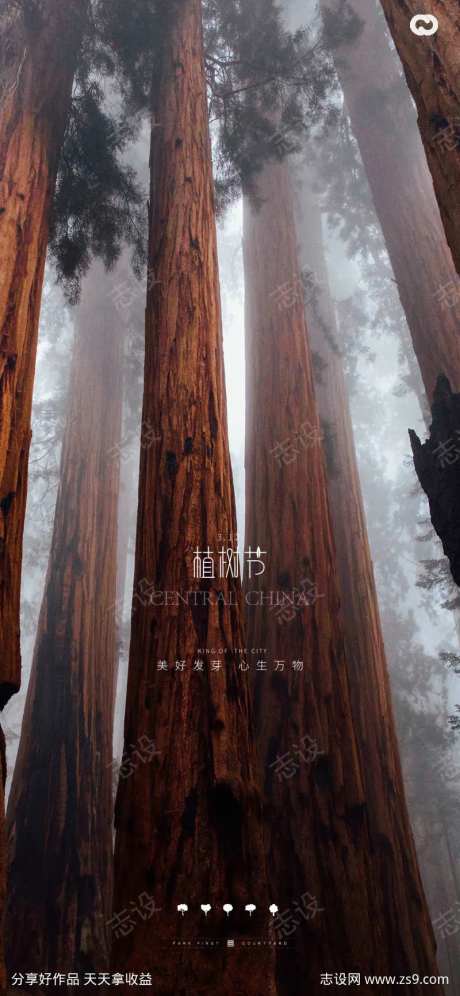 植树节大树森林海报-采灵感-https://www.cailinggan.com/