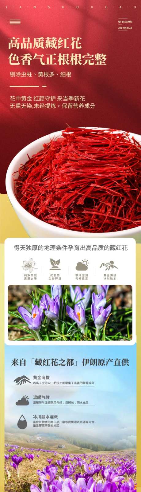 藏红花-采灵感-https://www.cailinggan.com/