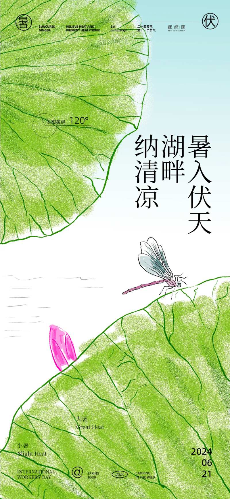 荷叶插画海报-采灵感-cailinggan.com