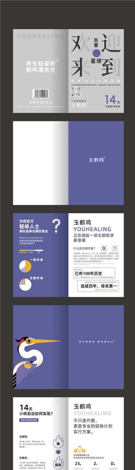 生酮减肥饮食指导手册-采灵感-https://www.cailinggan.com/
