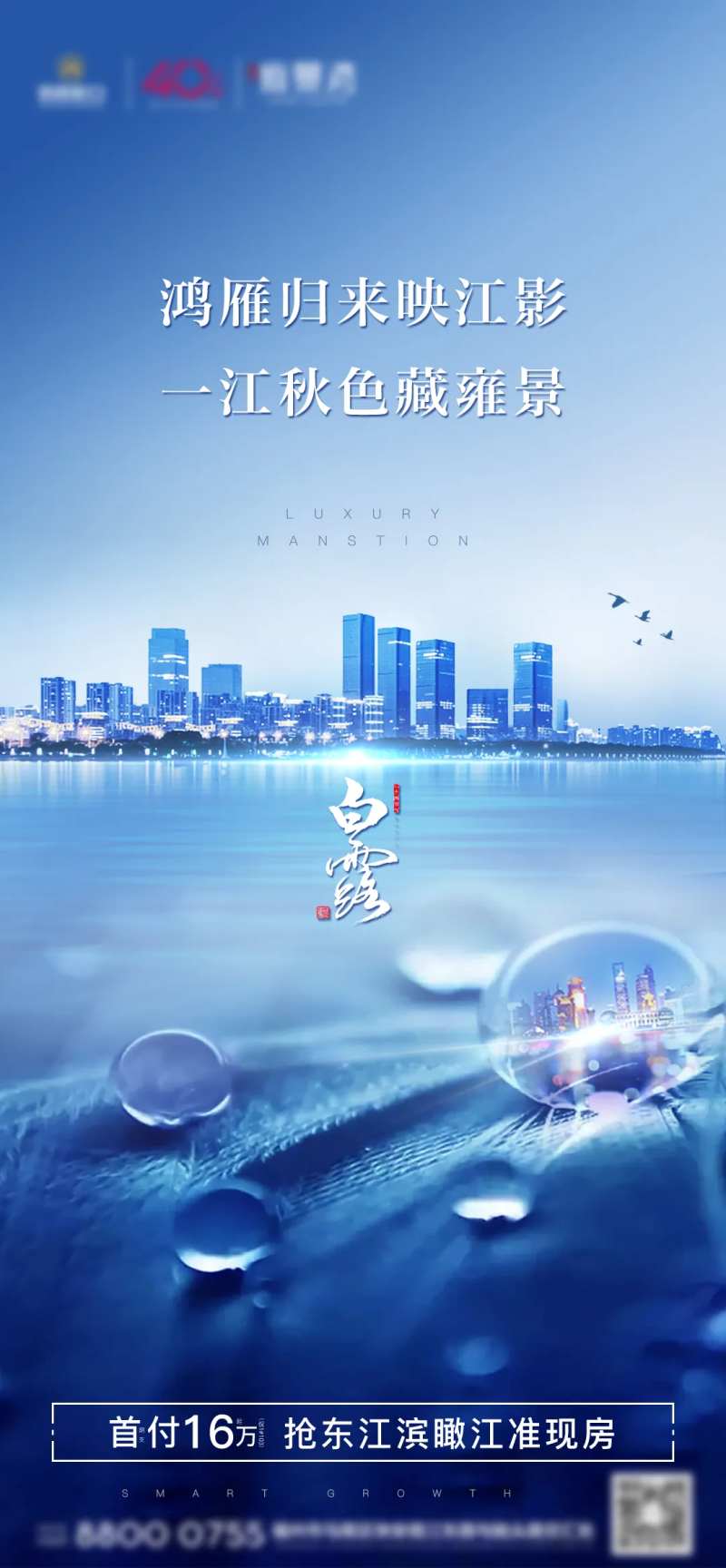 房地产蓝底白露节气节日微单海报-采灵感-cailinggan.com