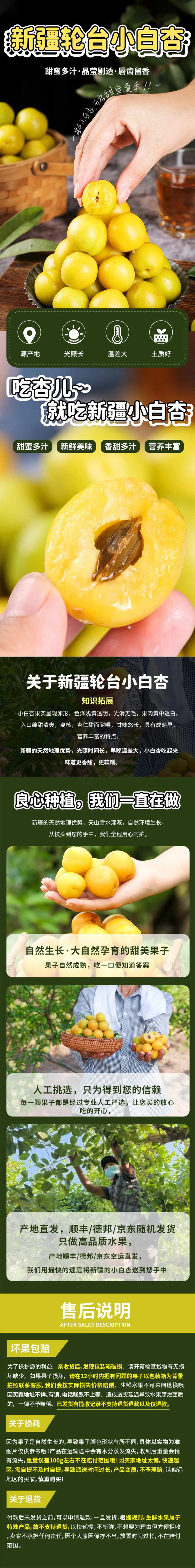 新疆轮台小白杏鲜杏详情页设计-采灵感-cailinggan.com