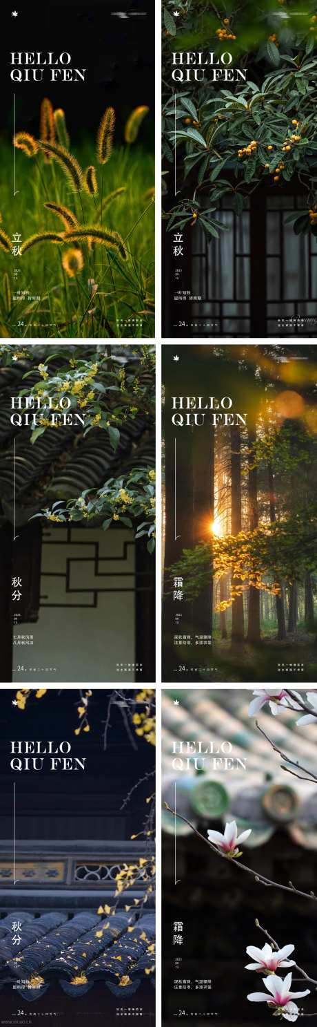 立秋秋分霜降24节气风景树木海报-采灵感-https://www.cailinggan.com/