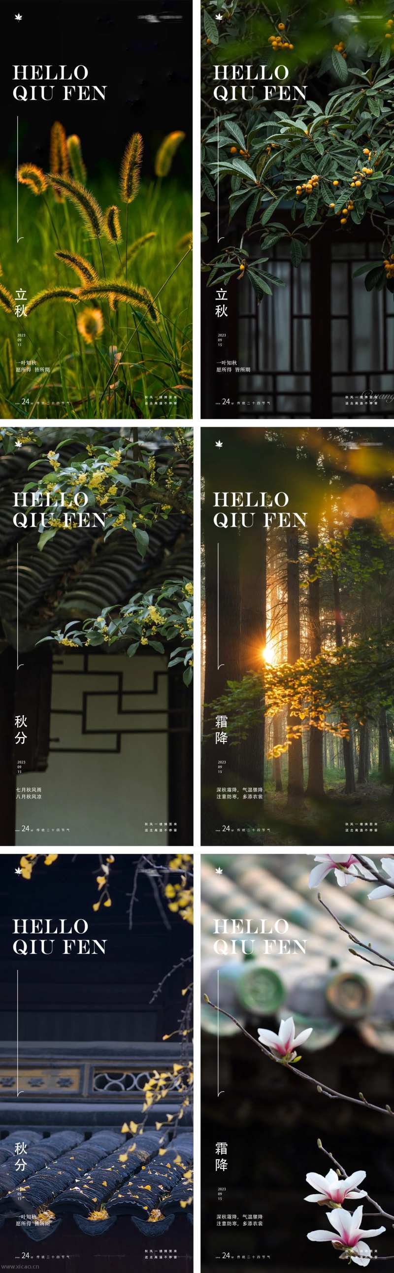 立秋秋分霜降24节气风景树木海报-采灵感-cailinggan.com