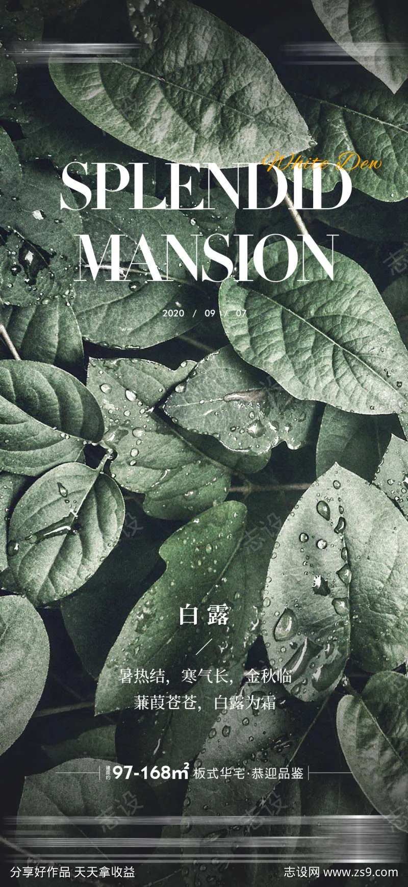 地产白露寒露雨水质感海报-采灵感-cailinggan.com