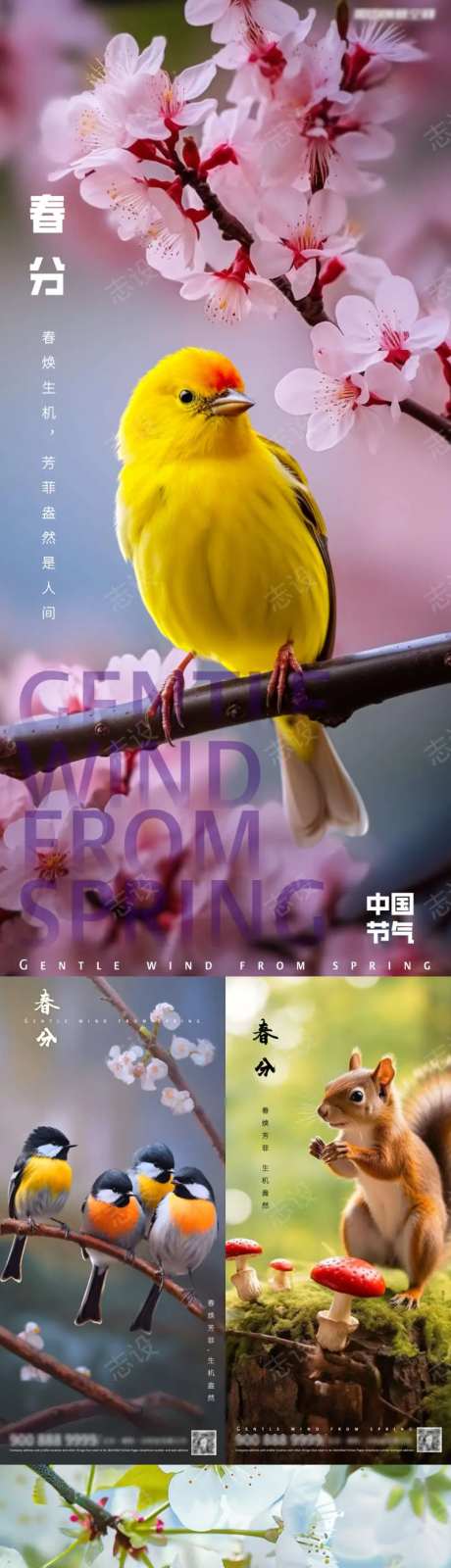 春分花鸟系列                                                                                                                                                                                                  -采灵感-https://www.cailinggan.com/