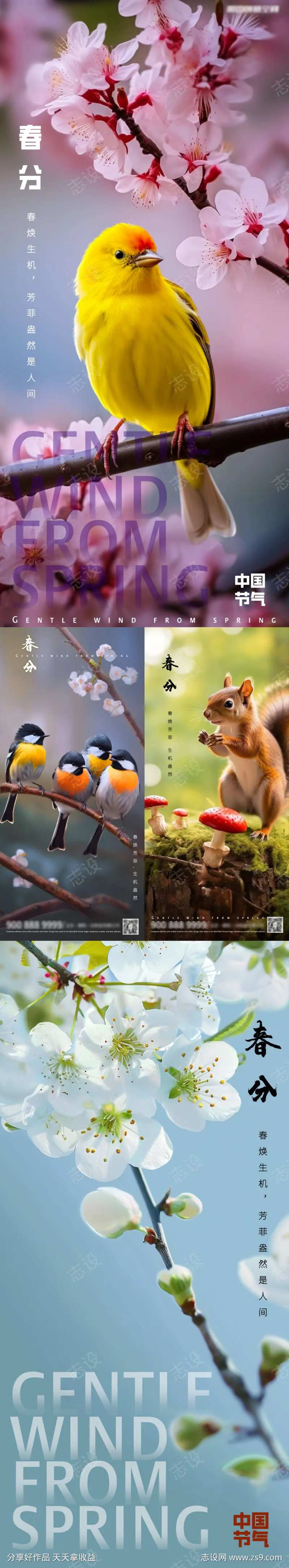 春分花鸟系列                                                                                                                                                                                                  -采灵感-cailinggan.com