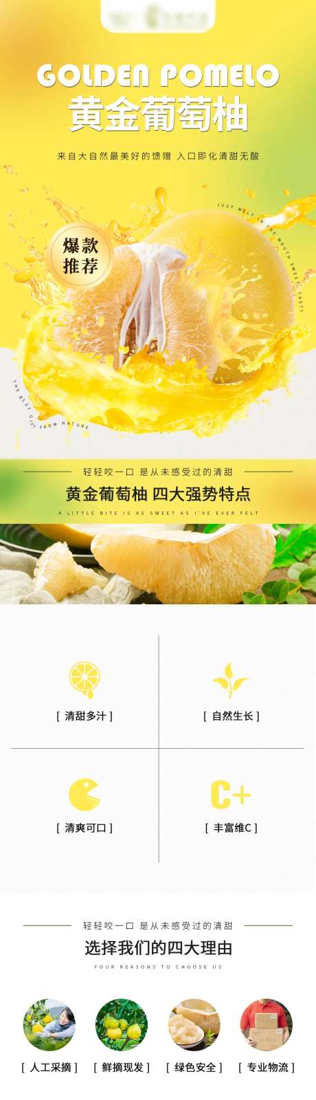 黄金葡萄柚水果详情页-采灵感-https://www.cailinggan.com/