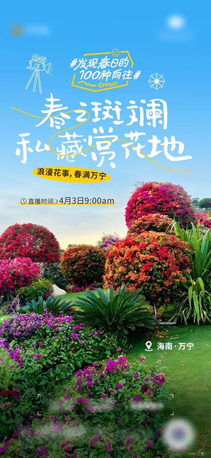 万宁赏花直播微信-采灵感-cailinggan.com