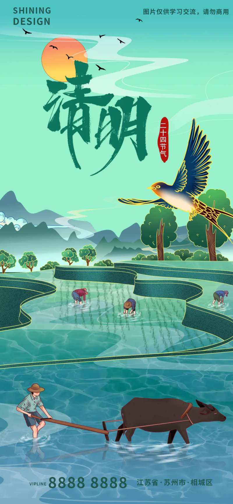 清明节农民种田耕牛插秧梯田手绘海报-采灵感-cailinggan.com