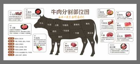 牛肉分割分解部位图-采灵感-https://www.cailinggan.com/