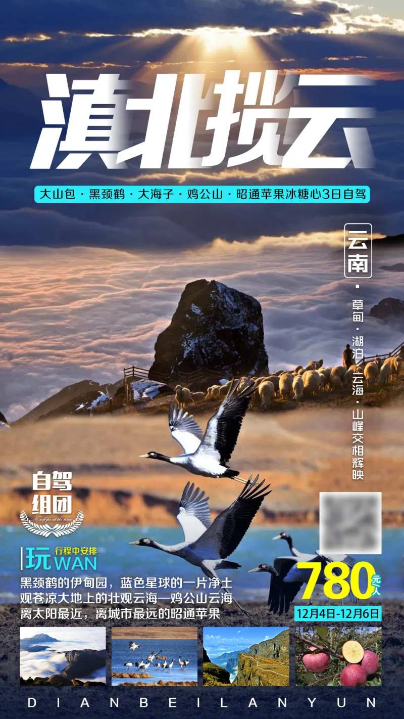 云南大山包旅游海报-采灵感-cailinggan.com