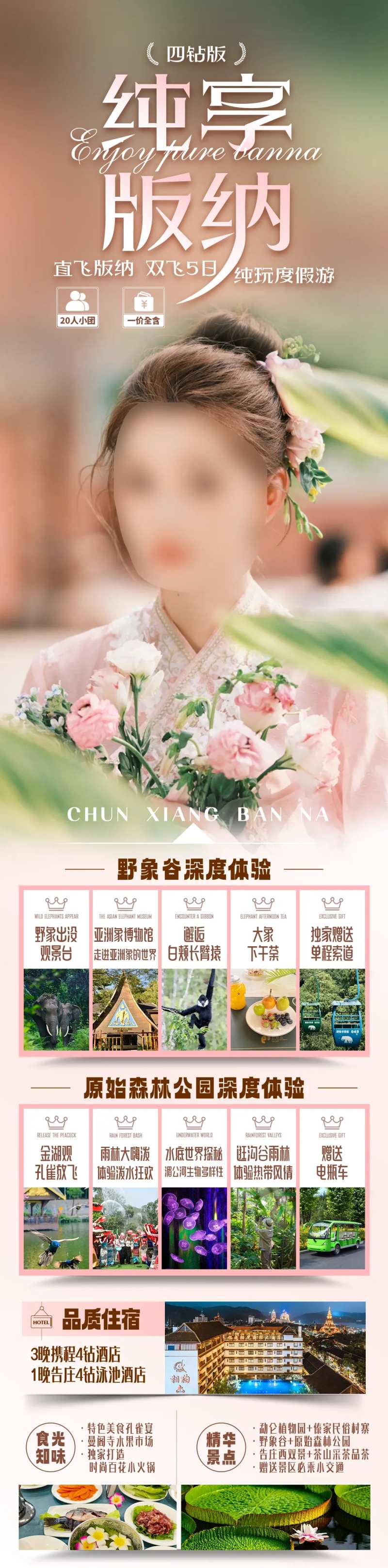 纯享版纳旅游海报-采灵感-cailinggan.com