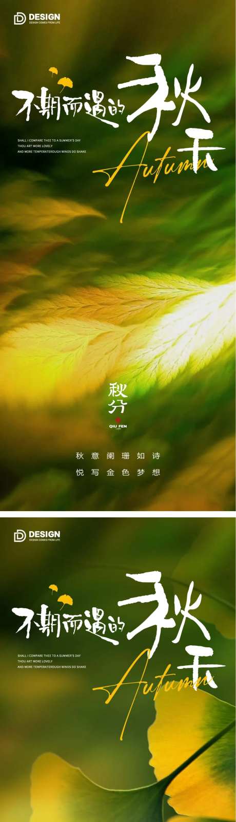 秋分节气海报秋分二十四节气落叶-采灵感-https://www.cailinggan.com/