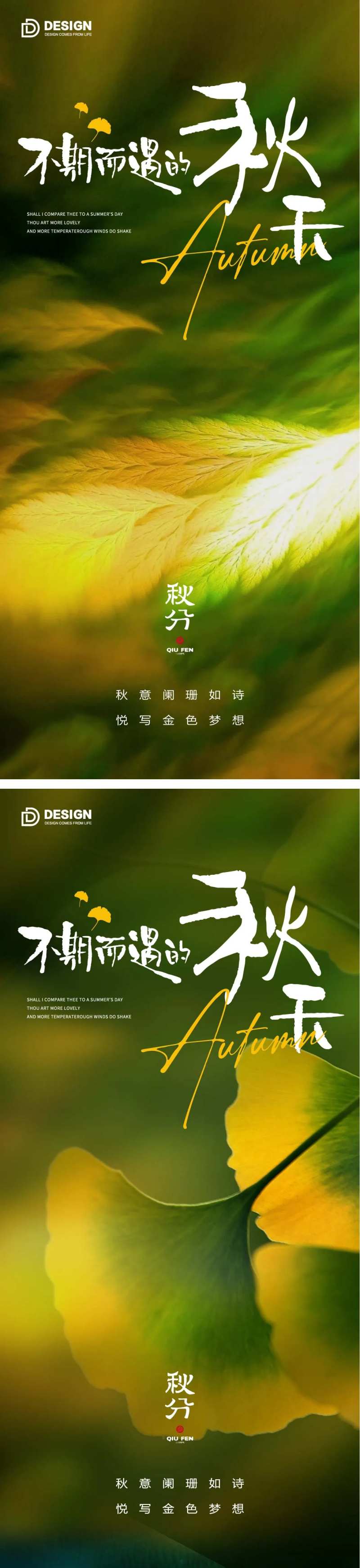 秋分节气海报秋分二十四节气落叶-采灵感-cailinggan.com