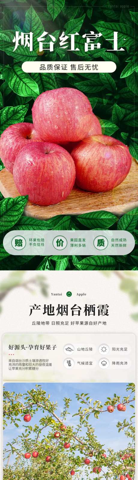烟台红富士电商详情-采灵感-https://www.cailinggan.com/