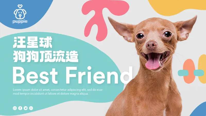 宠物狗海报-采灵感-cailinggan.com