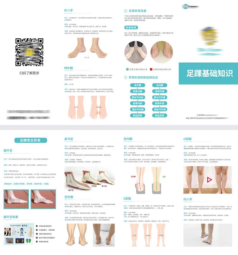 足踝基础知识四折页-采灵感-cailinggan.com
