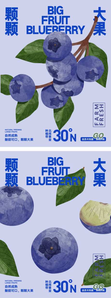 蓝莓海报长图-采灵感-https://www.cailinggan.com/