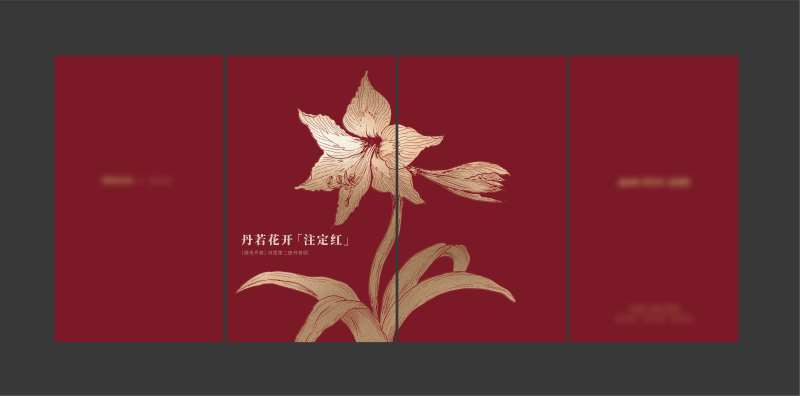 朱顶红包装盒设计-采灵感-cailinggan.com