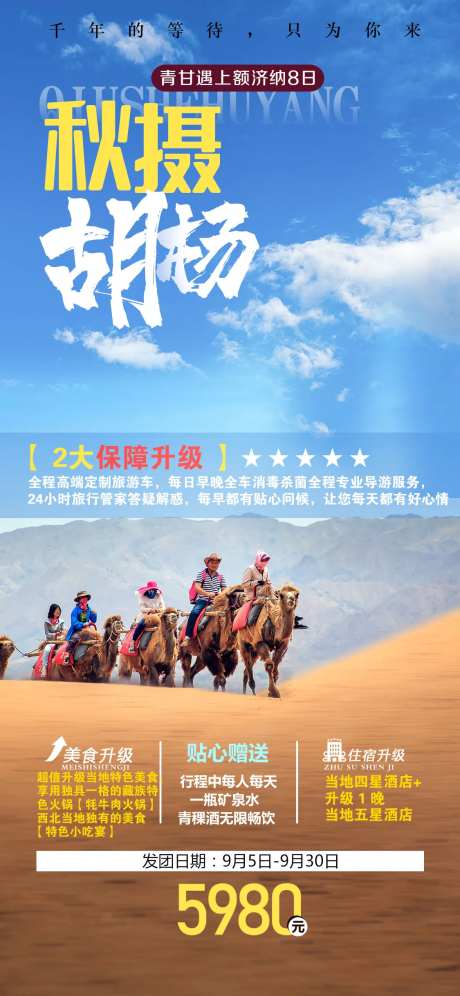 胡杨旅游-采灵感-https://www.cailinggan.com/