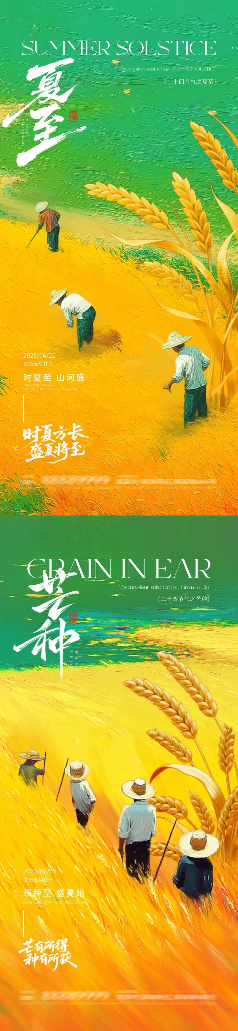 夏至芒种田野丰收插画海报-采灵感-cailinggan.com
