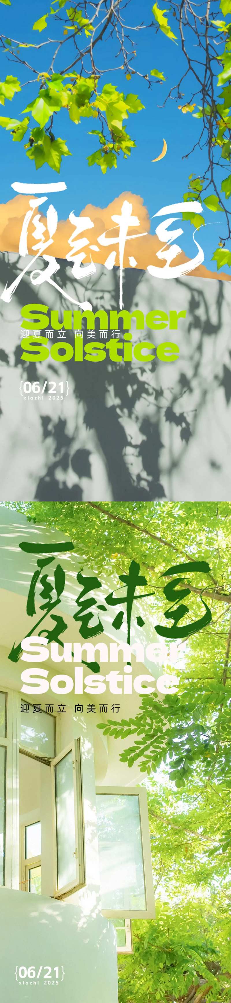 夏至写实系列海报-采灵感-cailinggan.com