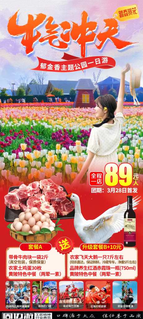 郁金香旅游海报-采灵感-https://www.cailinggan.com/