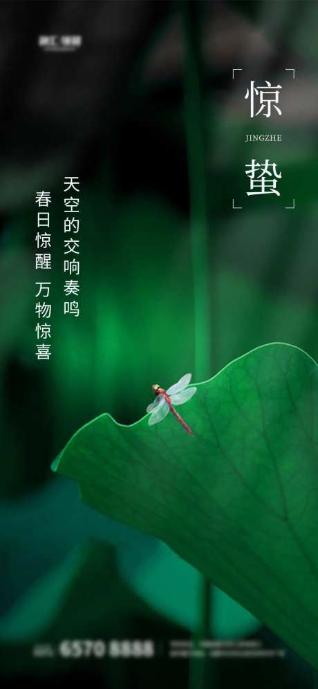 惊蛰春天虫子蜻蜓绿芽海报-采灵感-https://www.cailinggan.com/