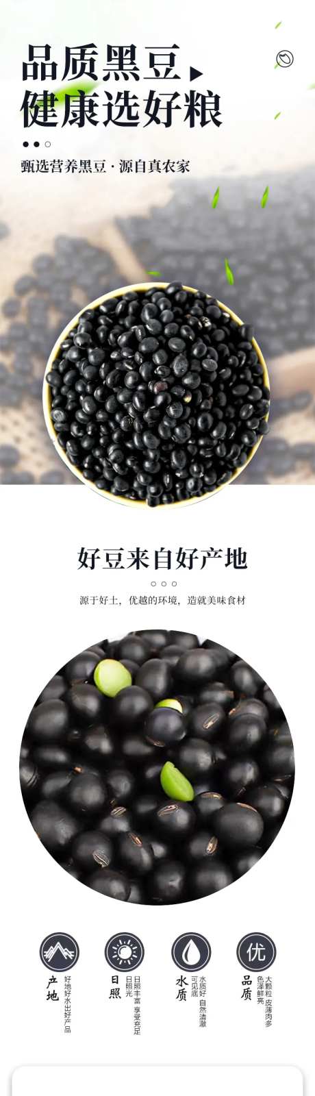 黑豆详情-采灵感-https://www.cailinggan.com/