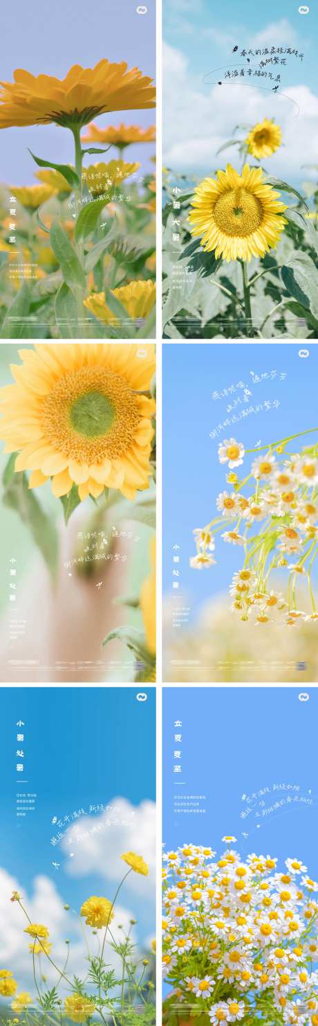 立夏夏至小暑大暑处暑24节气花卉海报-采灵感-https://www.cailinggan.com/