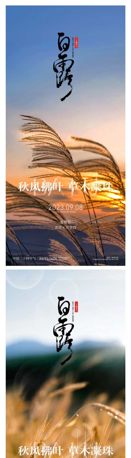 白露寒露二十四时节日节气稿-采灵感-https://www.cailinggan.com/