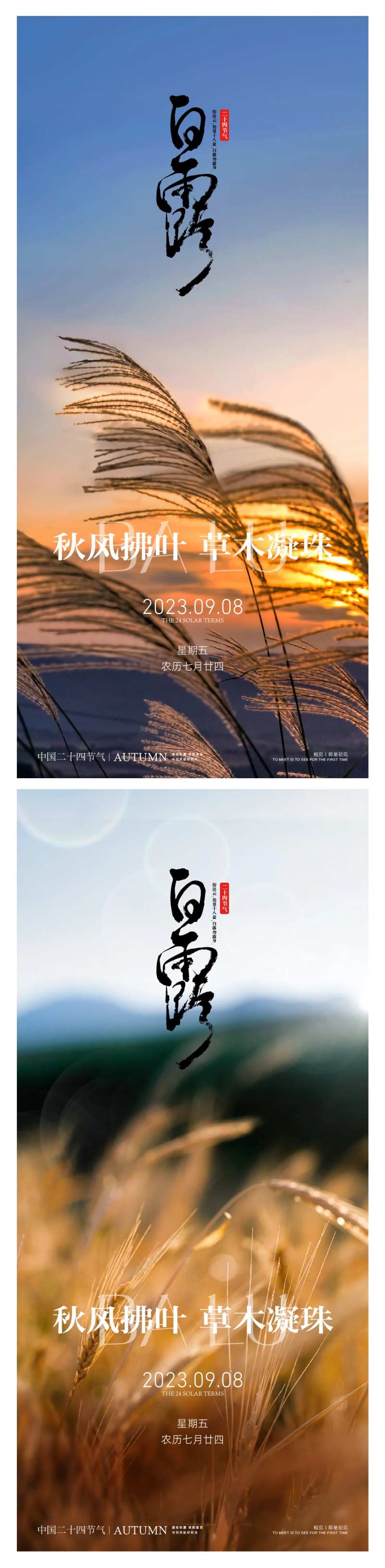 白露寒露二十四时节日节气稿-采灵感-cailinggan.com