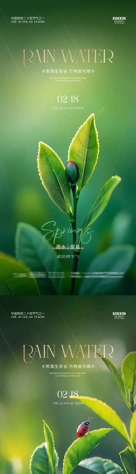 地产雨水惊蛰节气幼苗海报-采灵感-https://www.cailinggan.com/
