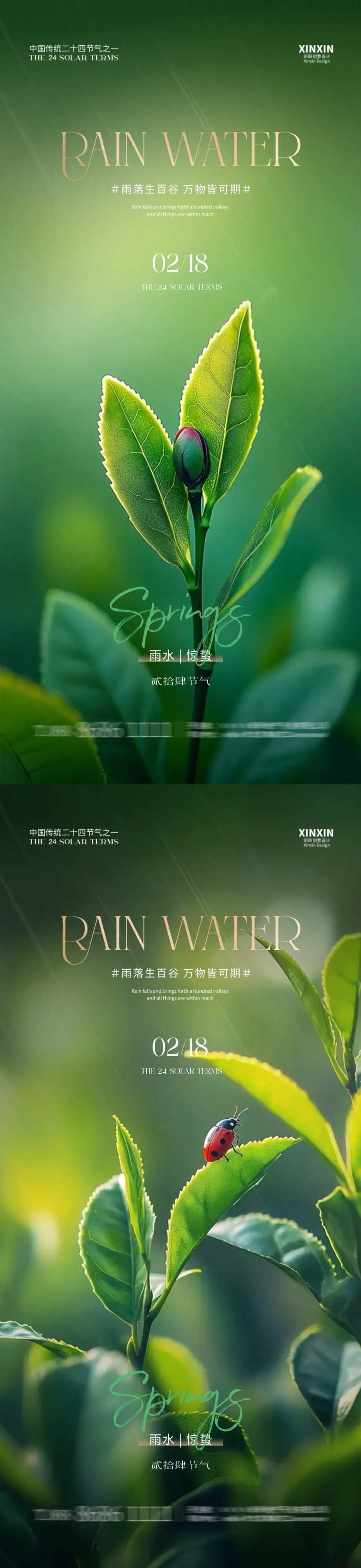 地产雨水惊蛰节气幼苗海报-采灵感-cailinggan.com