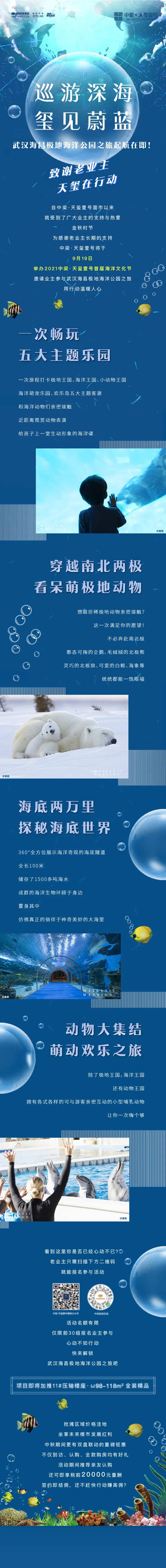 海洋馆活动极地公园长图海报-采灵感-cailinggan.com