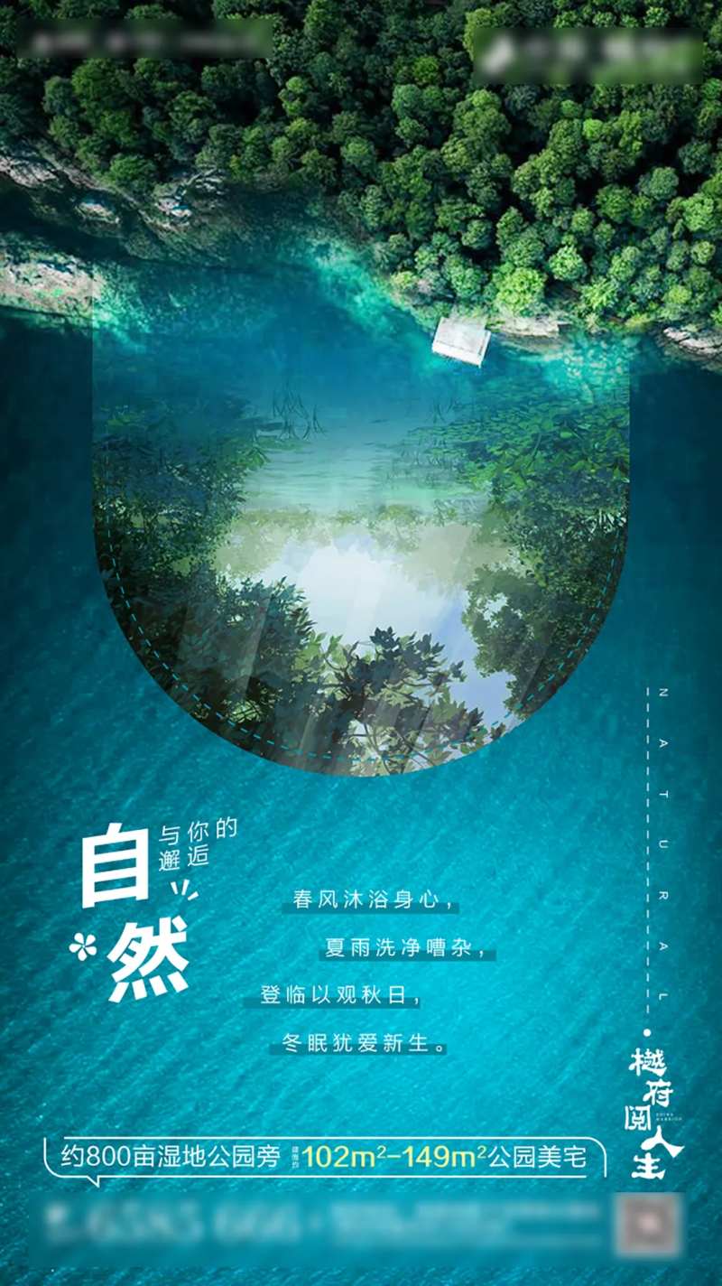 湿地公园自然价值点海报-采灵感-cailinggan.com