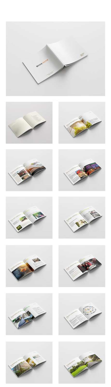 企业品牌手册宣传册-采灵感-https://www.cailinggan.com/