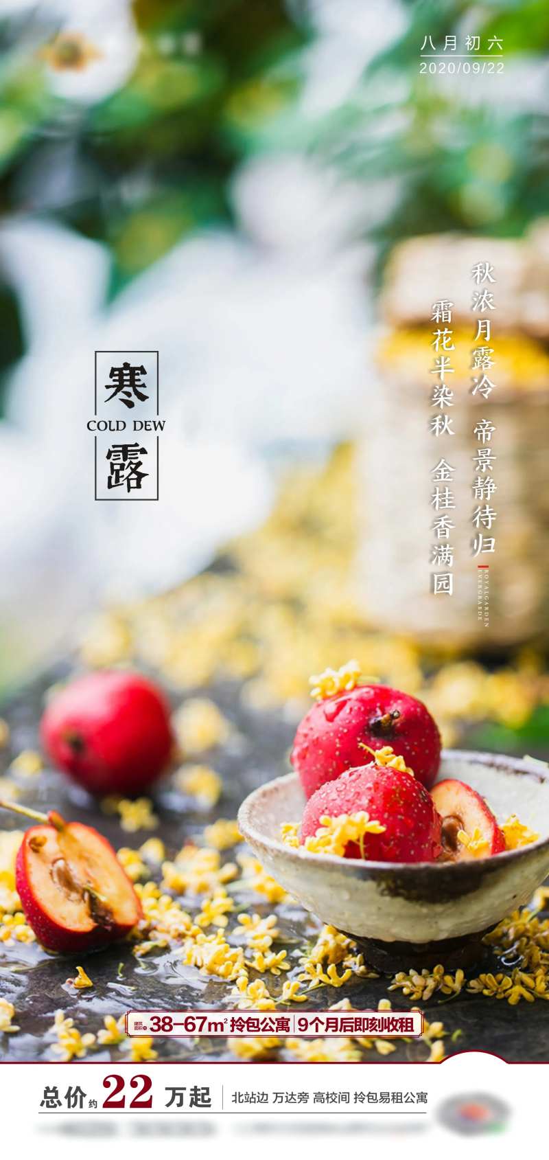 地产寒露节气海报-采灵感-cailinggan.com